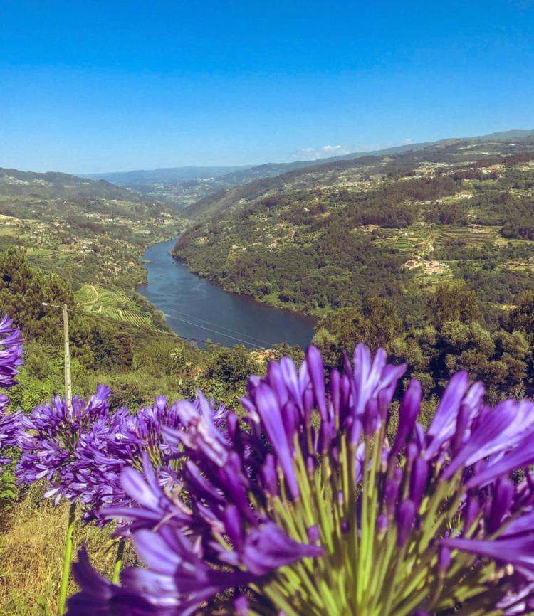 Mira Douro Valley Home Marco de Canaveses Luaran gambar